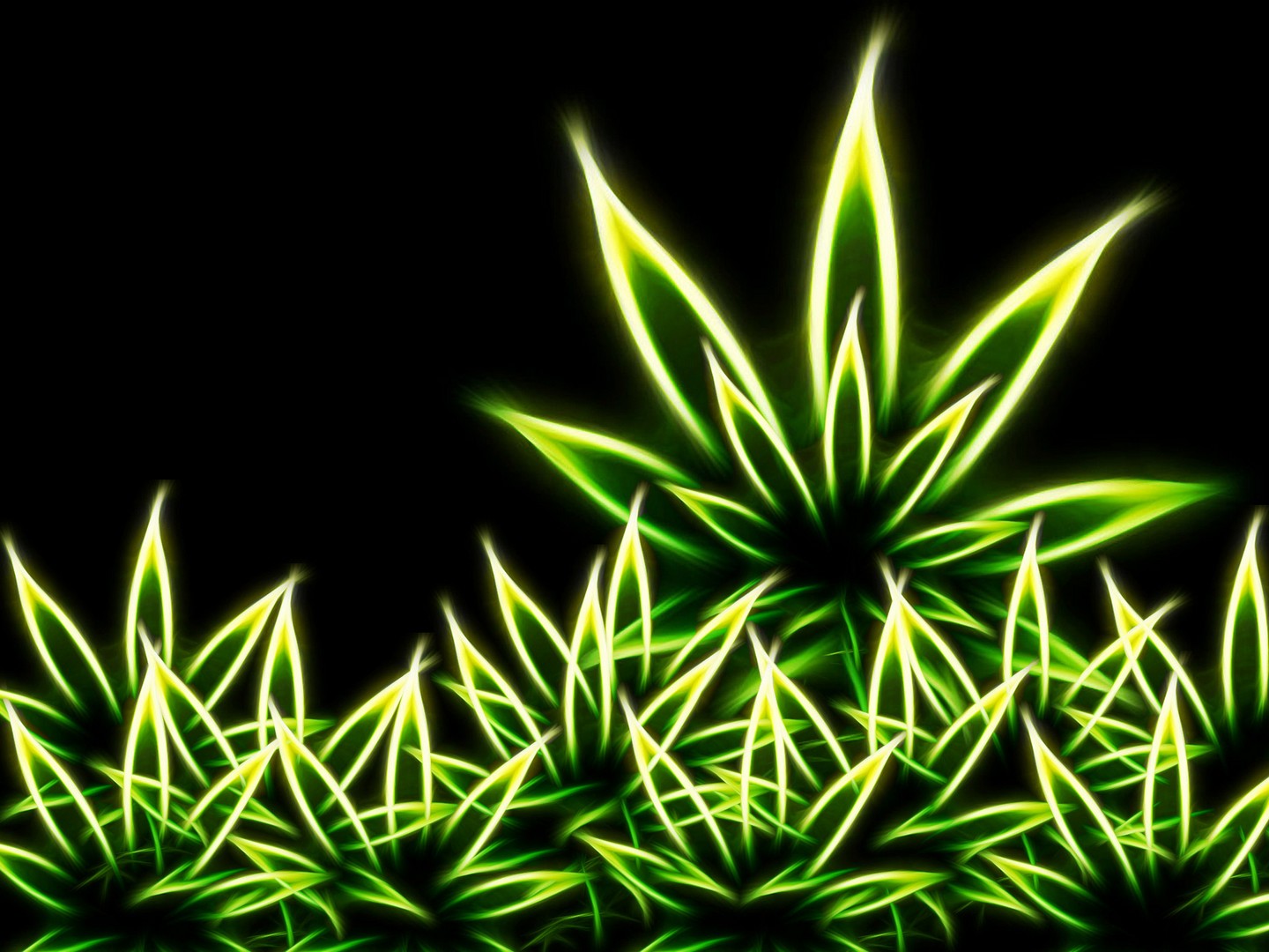 Cannabis Marijuana Weed Wallpaper Backgrounds Screensavers HD Wallpapers Download Free Images Wallpaper [wallpaper981.blogspot.com]