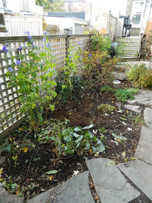 Toronto Leslieville Backyard Garden Fall Cleanup after by Paul Jung Gardening Services