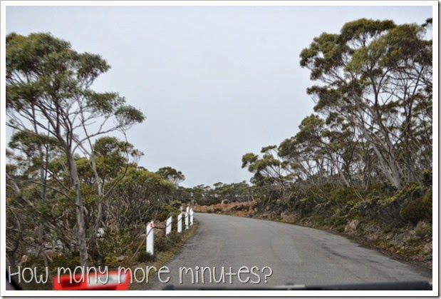 How Many More Minutes? ~ Hobart, Tasmania: Mt Wellington