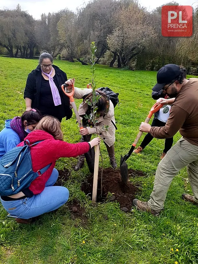 Intervención urbana en el Parque Chuyaca en el Día de la Tierra