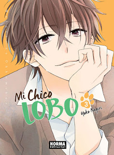 https://nuevavalquirias.com/mi-chico-lobo.html