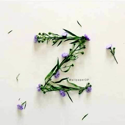 Real flower Unique A to Z Alphabet dp pics for Whatsapp Facebook