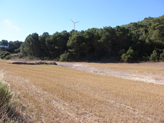 rastrojo Barranco de las Lenas María de Huerva