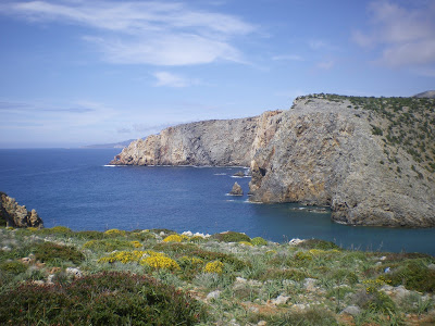 sardinia - sea - cala domestica