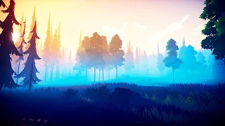 Forest Sunset 1080p Desktop Wallpaper