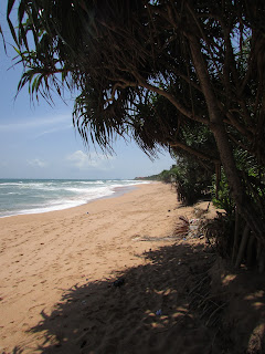 Induruwa Sri Lanka 