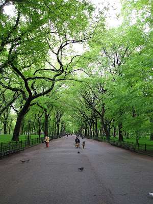 central park. Nearing Central Park South,