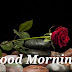 Top 10 Good Morning Ji Images greeting Pictures,Photos for Whatsapp