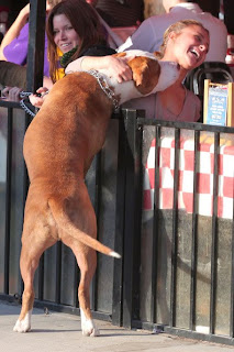 Hayden Panettiere - Having lunch in Venice Beach