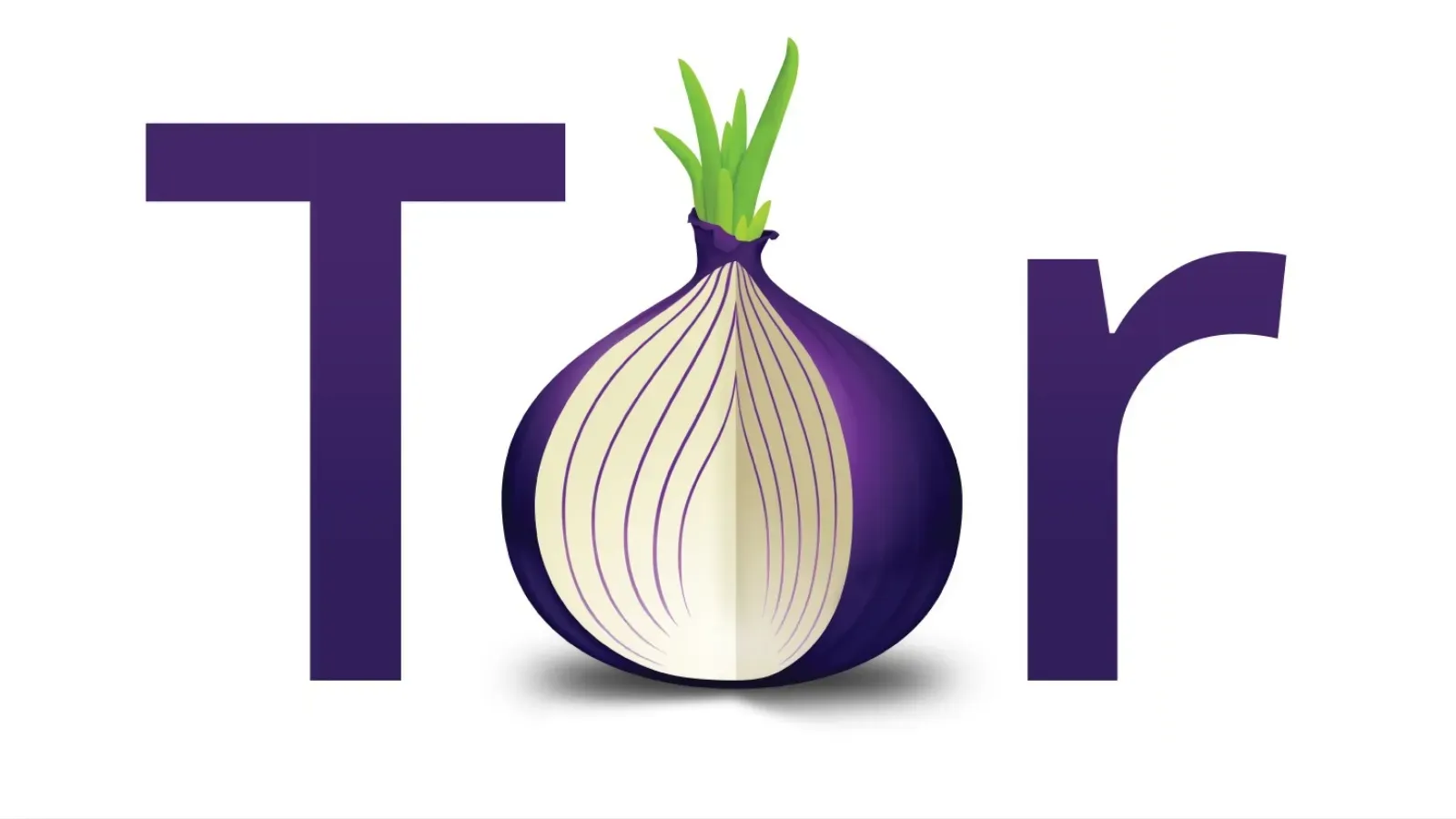 Icon of the Tor network showing a purple onion and the text 'Tor'