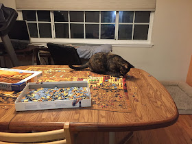 Semi-feral tortie plays on table with partially-assembled puzzle