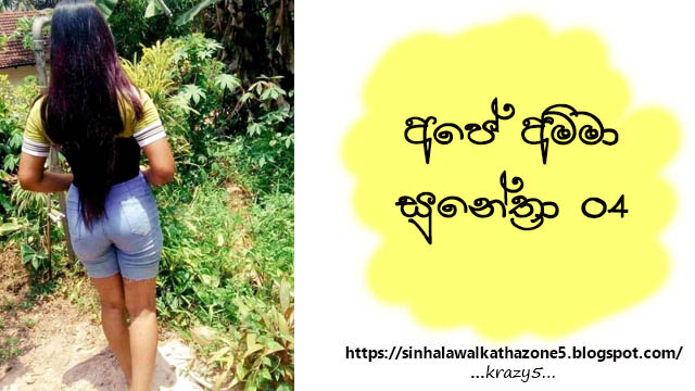 Ape Amma Sunethra | අපේ අම්මා සුනේත්‍රා 04