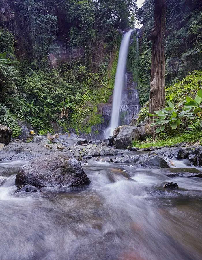 Fasilitas Wisata Gitgit Waterfall