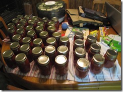 Jam 005