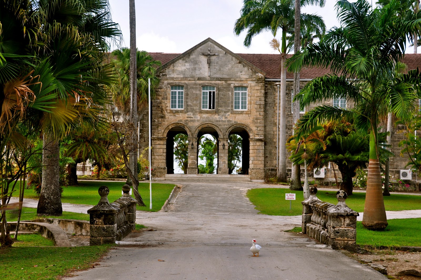 Loop Barbados: Off The Beaten Track: Codrington College