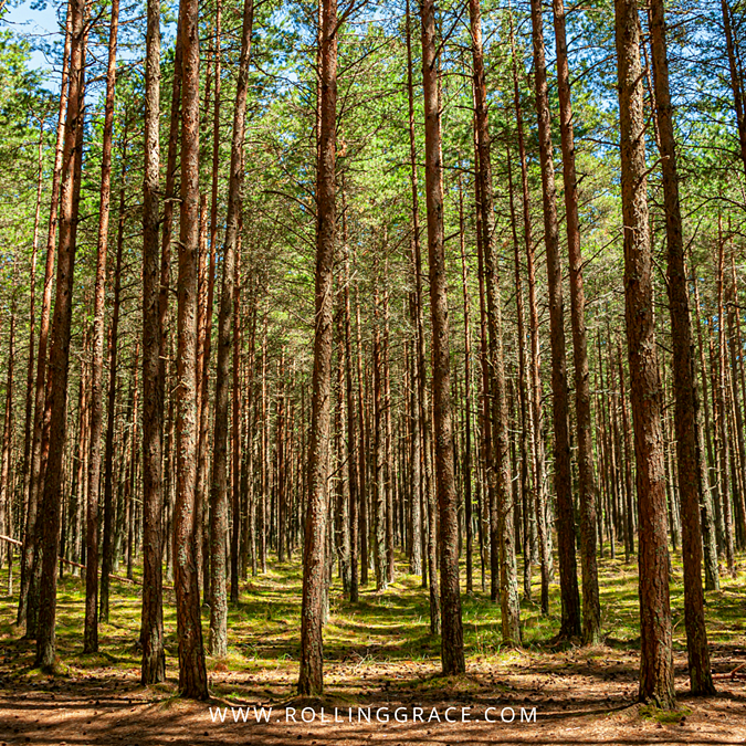 Curonian Spit hiking