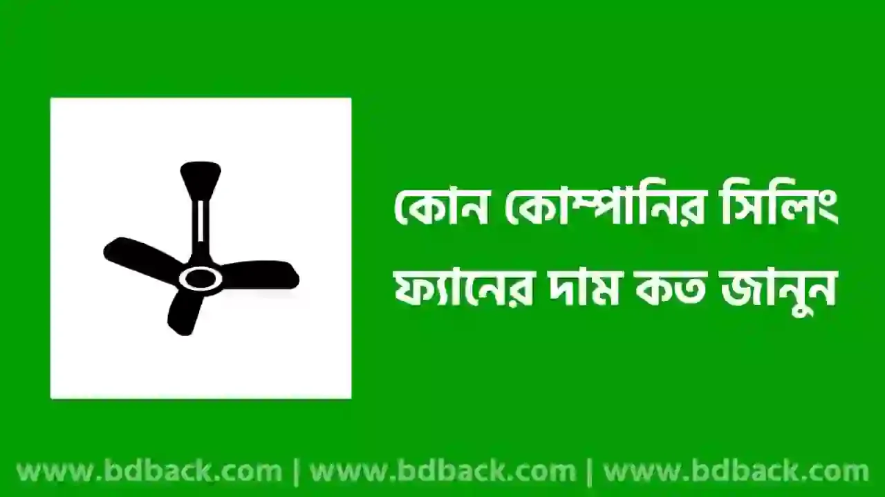 ২০২৪ সালে ন্যাশনাল, ওয়ালটন, বি আর বি, যমুনা সিলিং ফ্যানের দাম কত