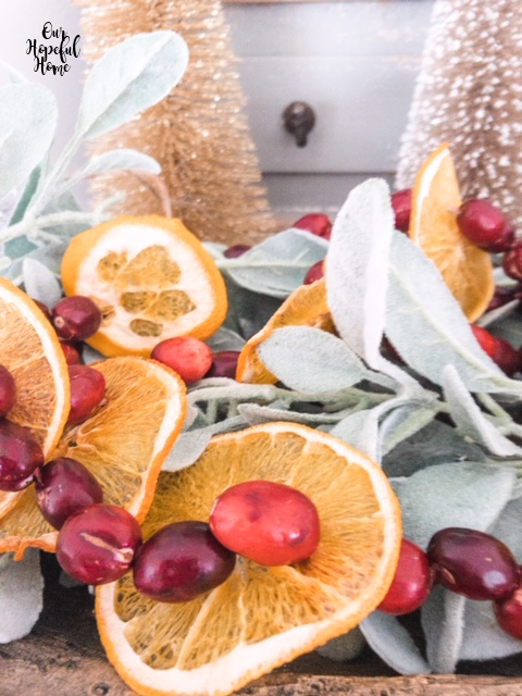 threaded cranberries dried oranges