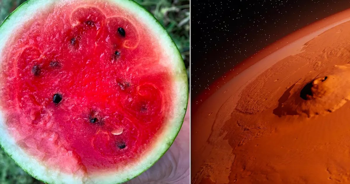 The New York Times Accidentally Publishes An Article Claiming That Watermelons Come From Mars