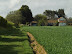 Driftway Farm, Felbrigg