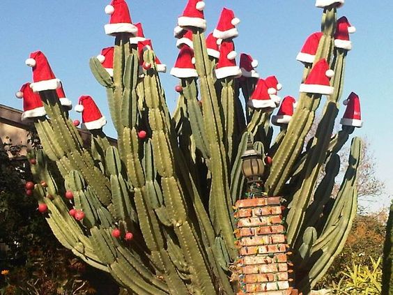 cactus, Cactus Christmas Tree, Christmas Tree, ornaments, holiday tree, holiday, holiday decor, Santa Hat Cactus