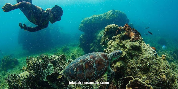 konsumsi wisata private trip pulau harapan