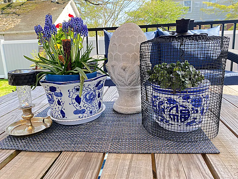 wire cloche and assorted blue planters