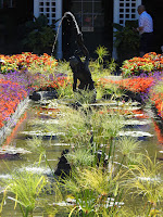 Pond with lillies and papyrus with an undine fountain.