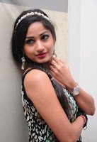 Madhavilatha, @, An, Audio, Launch