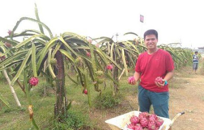  TEMPAT WISATA DI KOTA METRO LAMPUNG TERBARU YANG WAJIB DIKUNJUNGI BERSAMA 13 TEMPAT WISATA DI KOTA METRO LAMPUNG TERBARU YANG WAJIB DIKUNJUNGI BERSAMA