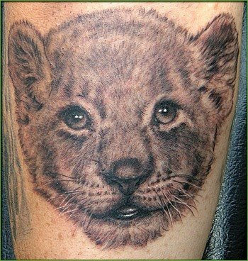 Tribal Tattoo Pictures : Tribal Tattoo Lion Pictures