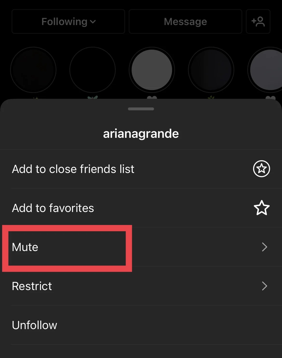 How to mute or unmute that super annoying person on Instagram