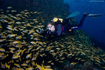 Sea world maldives