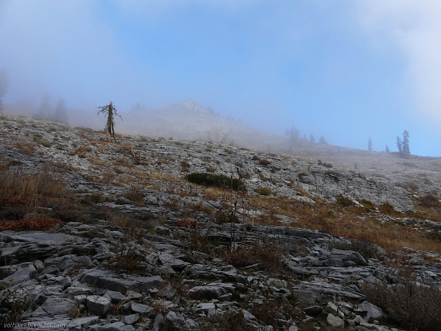 mist shrouded rocky bump