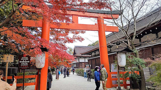 下鴨神社 紅葉 京都