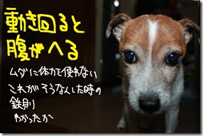 今日カズ１０１１１８　２
