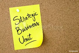 Strategic Business Units