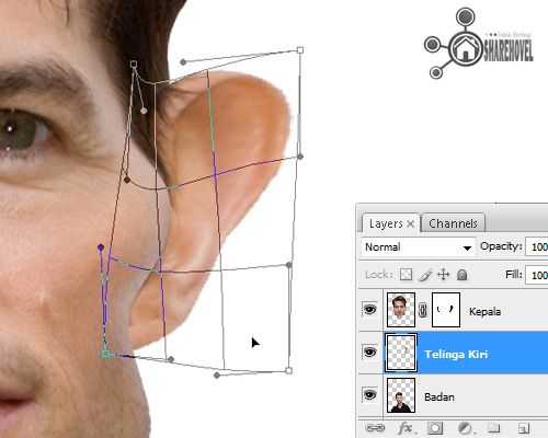 warp transform tool untuk mengubah bentuk gambar - Mengubah Foto Menjadi Karikatur Dengan Photoshop