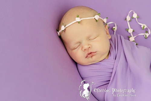 Professional portrait of a newborn baby using a round backdrop stand