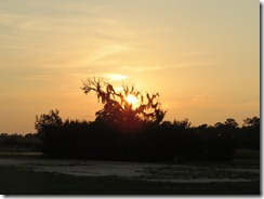 IMG_0454