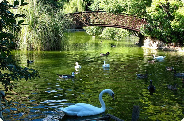 Villa_durazzo_pallavicini6