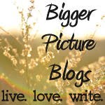 Announcing... Bigger Picture Blogs