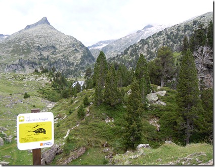 Pirineos_(Julio-2012)_ (172)