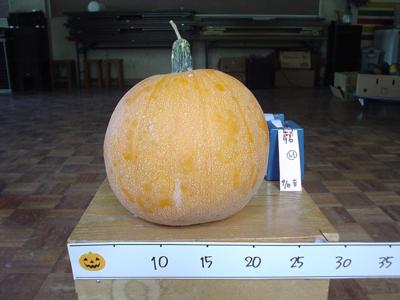訳ありかぼちゃ