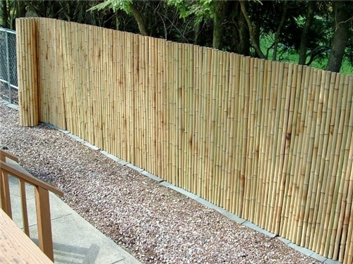 Bamboo Roll Fencing