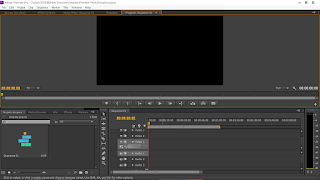 Adobe Premiere Pro