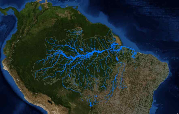 Rede de rios na Amazônia