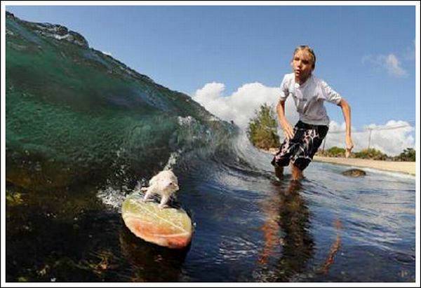 The Smallest Surfer