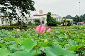 Tempat Wisata Kebun Raya Bogor