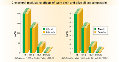 palm olein vs olive oil 